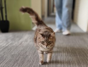 Bruce cropped